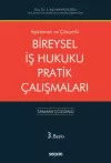 Bireysel İş Hukuku Pratik Çalışmaları