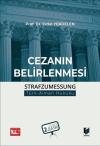 Cezanın Belirlenmesi