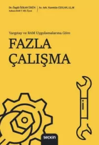 Fazla Çalışma Nurettin Ceylan